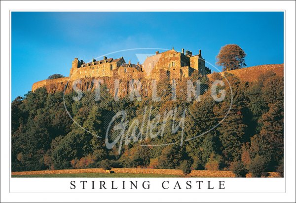 Stirling Castle, Evening Autumn Postcard