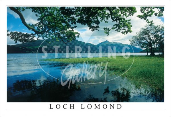 Loch Lomond, Ben Lomond & Inversnaid Hotel Postcard