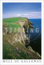 Mull of Galloway, Floral Postcard