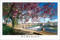 Dumfries,River Nith & Devorgilla Bridge, Whitesands Postcard