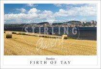 Dundee - Firth of Tay Postcard