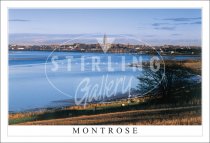 Montrose Postcard