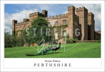 Scone Palace - Perthshire, Peacock Postcard