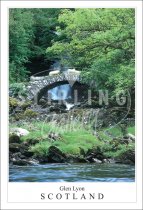 Glen Lyon - Scotland, Rush Hour Sheep on Bridge Postcard