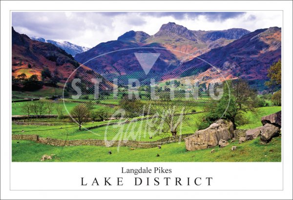 Langdale Pikes - Lake District Postcard