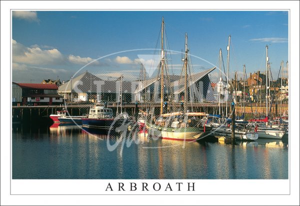 Arbroath Harbour Postcard