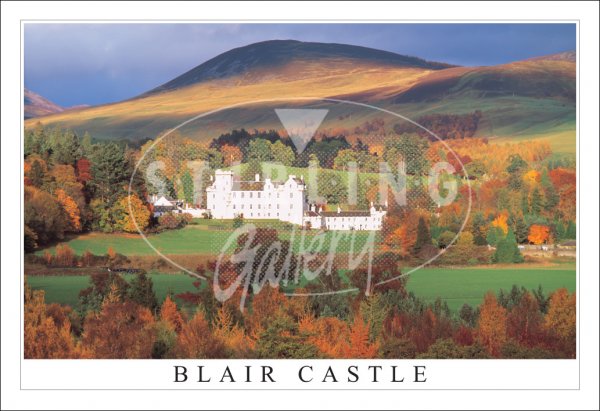 Bell Rock Lighthouse Postcard