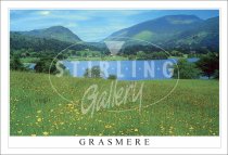 Grasmere, Springtime field Postcard