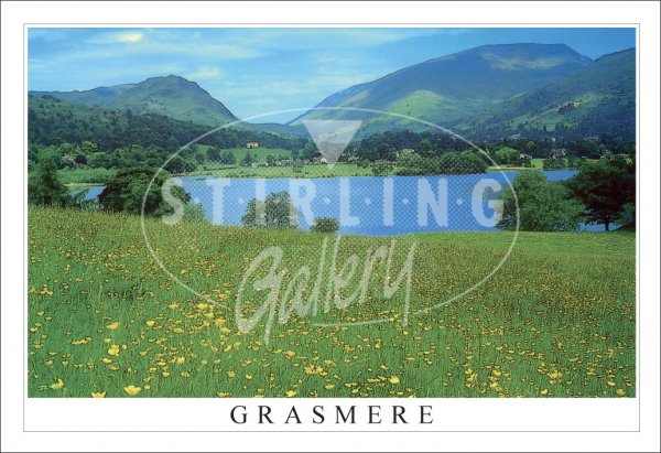 Grasmere, Springtime field Postcard