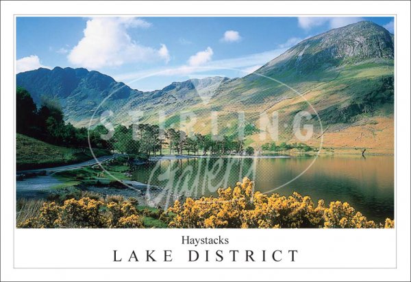 Buttermere, Haystacks - Lake District Postcard