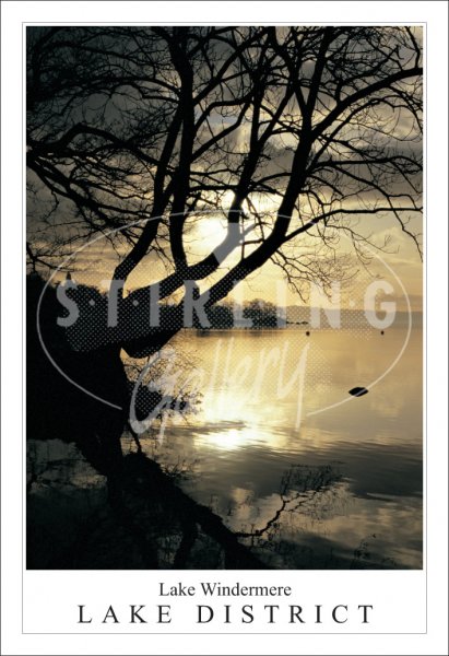Lake Windermere - Lake District, Early Morning Postcard