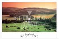 River Tweed - Scotland, Peebles Postcard