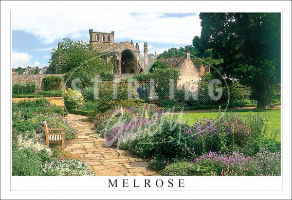 Melrose, Harmony Gardens Melrose Abbey Postcard