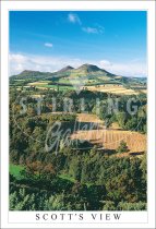 Scott's View Postcard