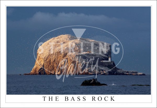 Bass Rock, The Postcard