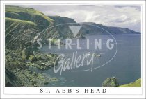 St Abb's Head Postcard