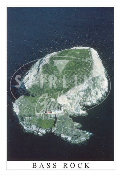 Bass Rock, Aerial View, Gannets Surrounding Isle Postcard