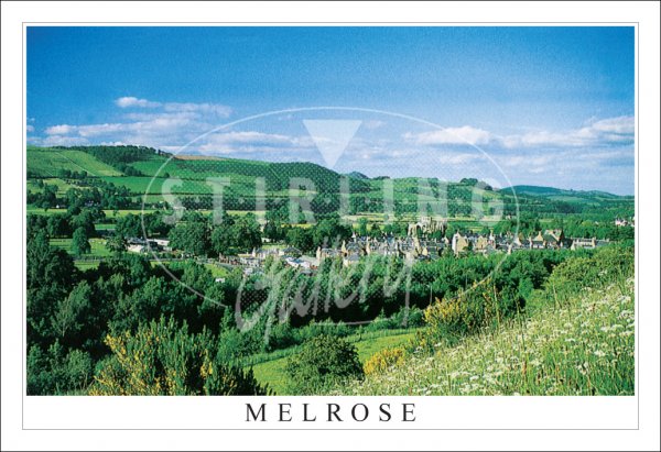 Melrose, from Hillside Postcard