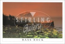 Bass Rock, over St. Baldred's Boat to Bass Rock Postcard