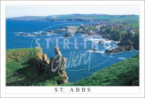 St Abbs Panorama Postcard