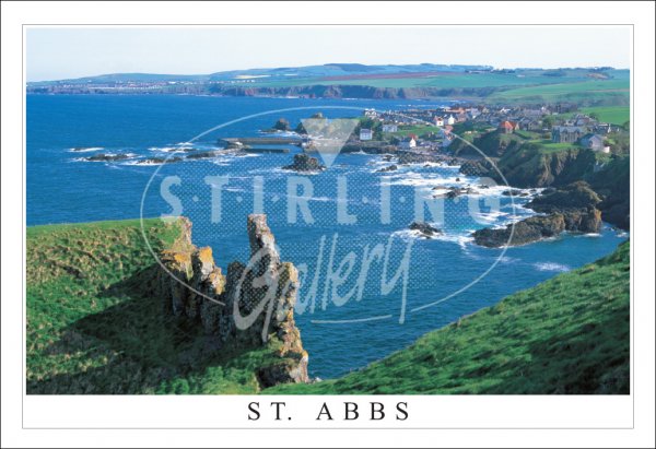 St Abbs Panorama Postcard