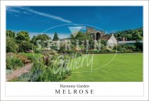 Harmony Garden - Melrose Postcard