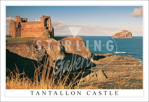 Tantallon Castle and the Bass Rock Postcard