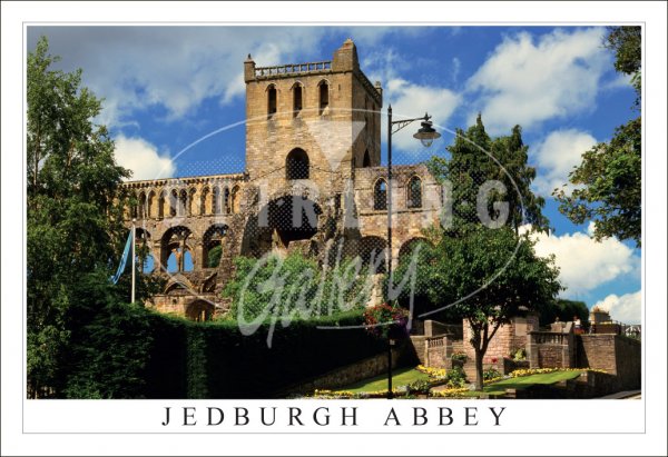 Jedburgh Abbey, from Street Postcard