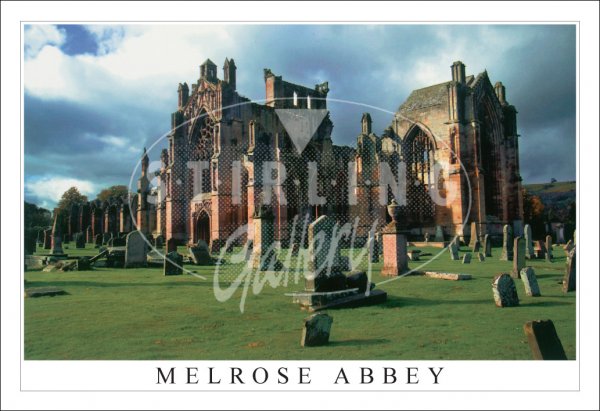 Melrose Abbey Postcard