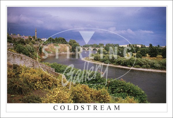 Coldstream, River Tweed Postcard