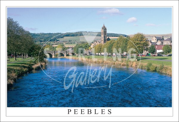 Peebles on the River Tweed Postcard