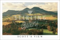 Scott's View, Eildon Hills, Autumn Postcard