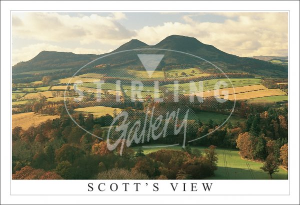 Scott's View, Eildon Hills, Autumn Postcard