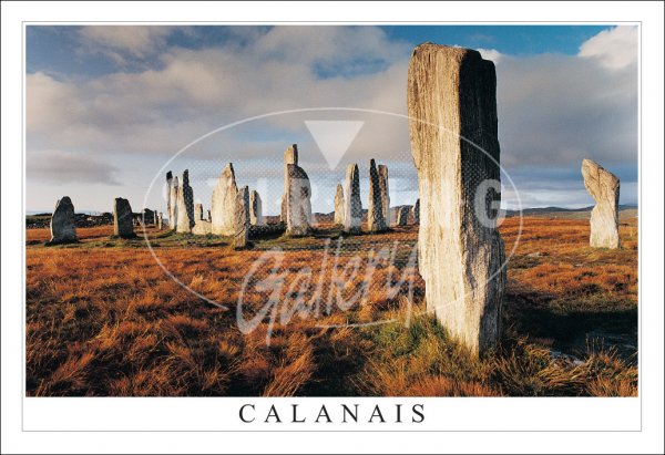Calanais at Dawn, Standing Stones Postcard
