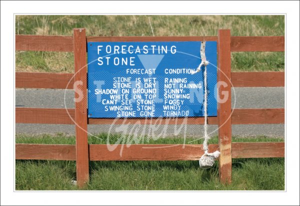 Weather Forecasting Stone Postcard