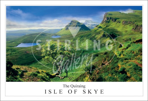 Quiraing, The - Isle of Skye, Trotternish, Morning Light Postcard