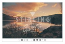 Loch Lomond, Evening Tranquillity Postcard