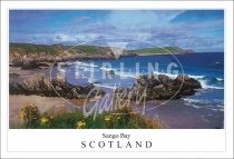 Sango Bay - Scotland, Floral Postcard