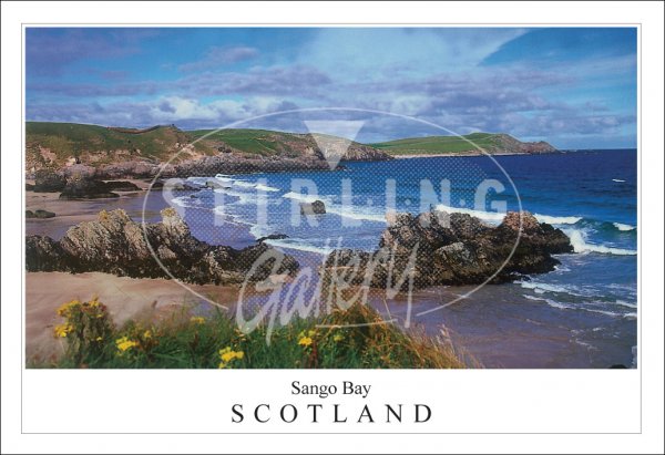 Sango Bay - Scotland, Floral Postcard