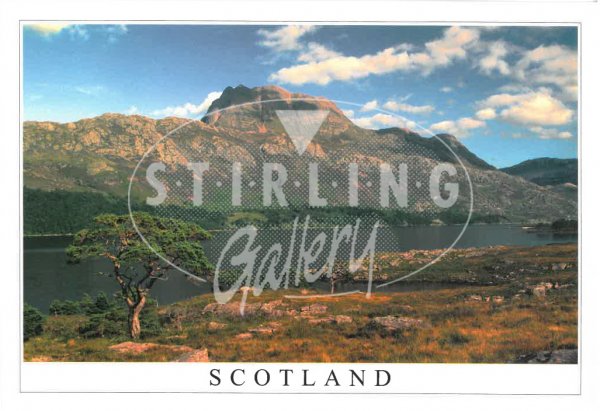 Slioch, Loch Maree, Scotland Postcard