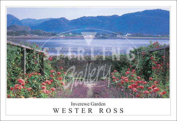 Inverewe Garden - Wester Ross, Poolewe across Loch Postcard