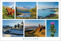 Scotland, Multi view,Cow,Nevis,Sanna Bay,Thistle,Storr,Glenmore Postcard