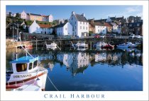 Crail Harbour Postcard