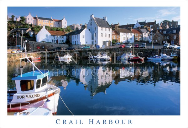 Crail Harbour Postcard