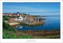 Crail, From Above, Flowers Postcard