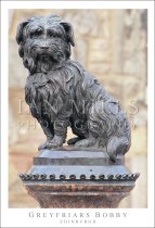 Greyfriars Bobby - Edinburgh Postcard
