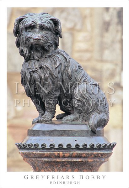 Greyfriars Bobby - Edinburgh Postcard