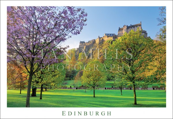 Edinburgh - Castle from Gardens in Blossom Postcard