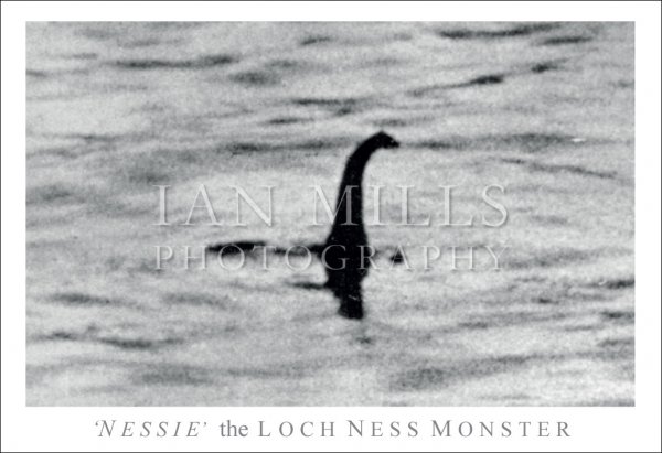 Nessie, the Loch Ness Monster, Sugeons Photo Postcard