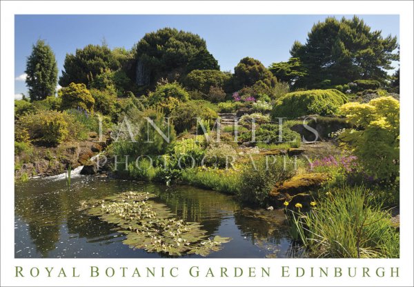 Royal Botanic Garden, Edinburgh, Pond & Rock Garden Postcard